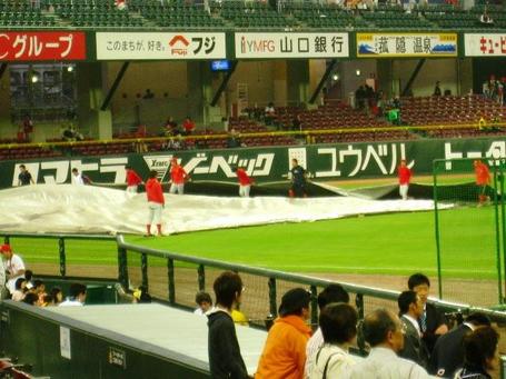 シート.JPG