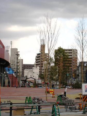0314-1.JPG