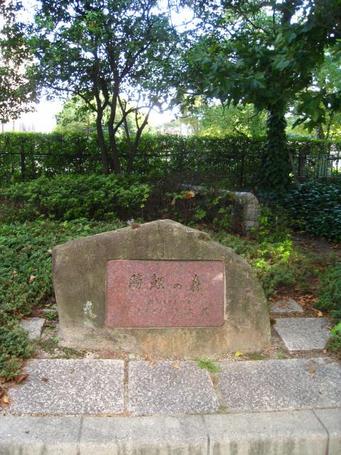 勝鯉の森.JPG