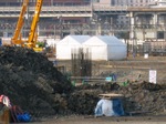 IMG_0485.jpg